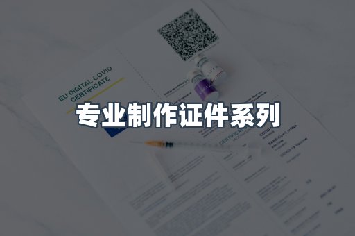 专业制作证件系列